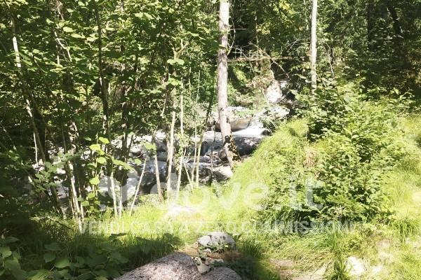 immagine annuncio 7 di 9