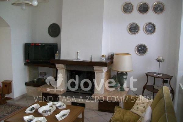 immagine annuncio 7 di 14