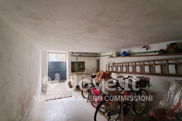 immagine annuncio 8 di 14