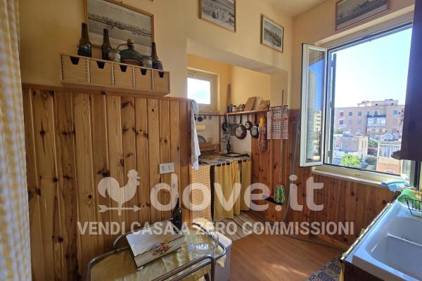 immagine annuncio 7 di 14