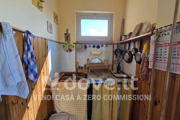 immagine annuncio 9 di 14