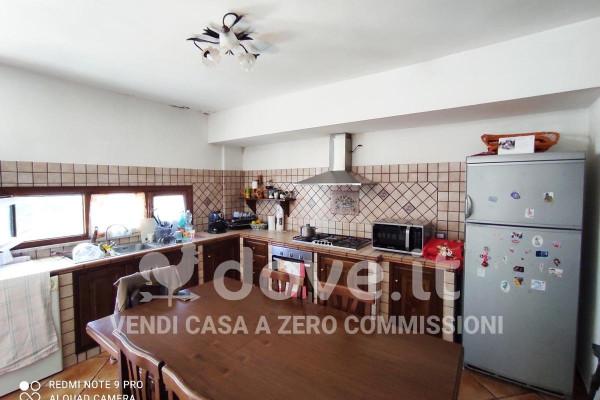 immagine annuncio 9 di 14