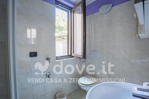 immagine annuncio 12 di 14