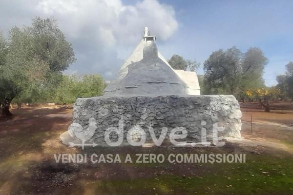 immagine annuncio 8 di 13