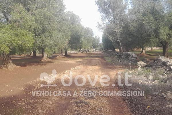 immagine annuncio 11 di 13