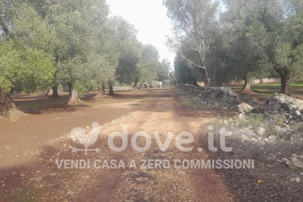 immagine annuncio 10 di 13