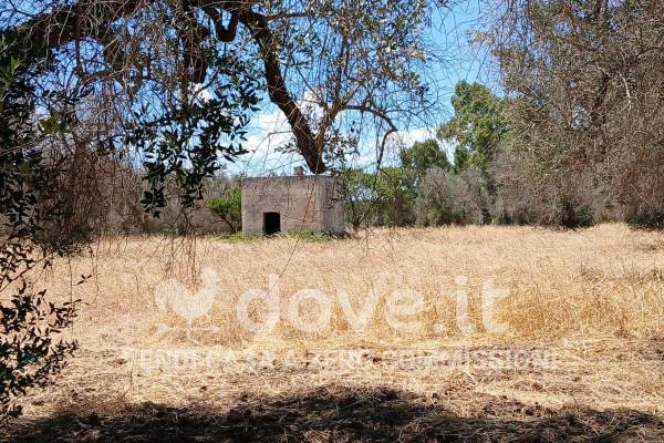 immagine annuncio 6 di 11