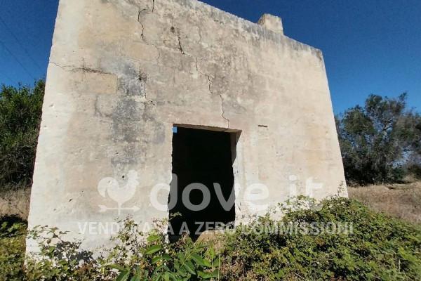 immagine annuncio 7 di 11