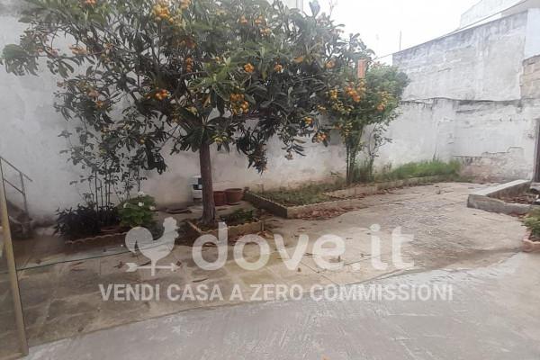 immagine annuncio 11 di 14