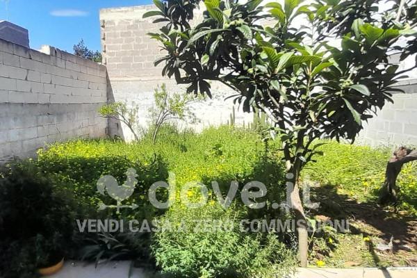 immagine annuncio 11 di 13