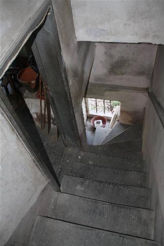 insertion image