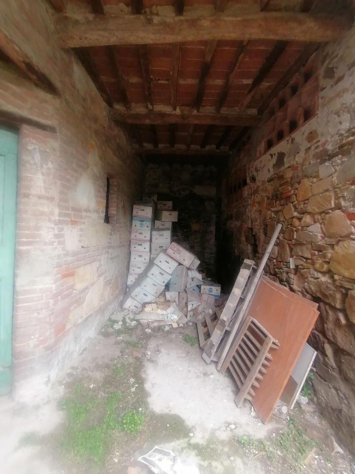 immagine annuncio 3 di 9