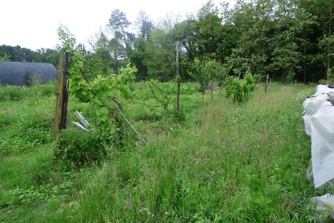 immagine annuncio 6 di 12