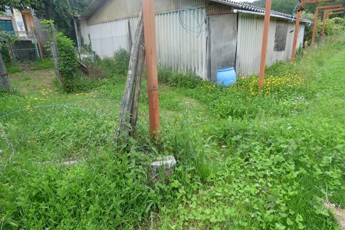 immagine annuncio 7 di 12