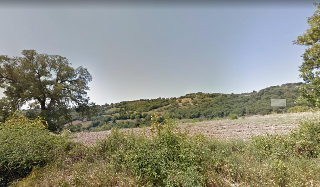 Azienda agricola in , Capalbio, {3} - Foto 1