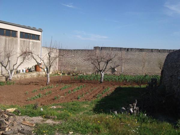 Magazzino in , Santeramo In Colle, {3} - Foto 2