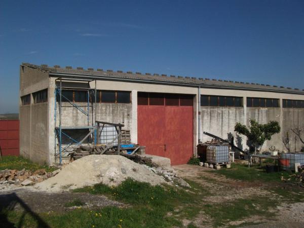 Magazzino in , Santeramo In Colle, {3} - Foto 1