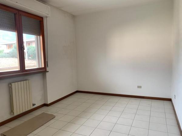 immagine annuncio 3 di 6