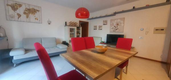 immagine annuncio 3 di 13