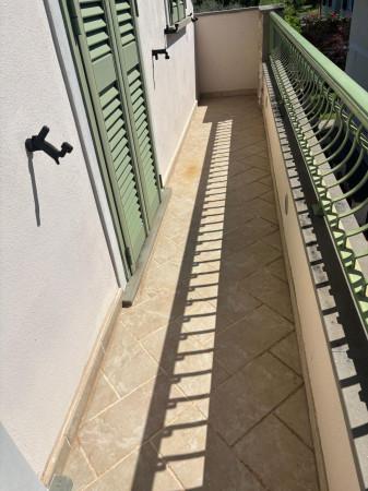 immagine annuncio 5 di 7