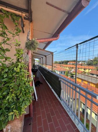 immagine annuncio 2 di 14