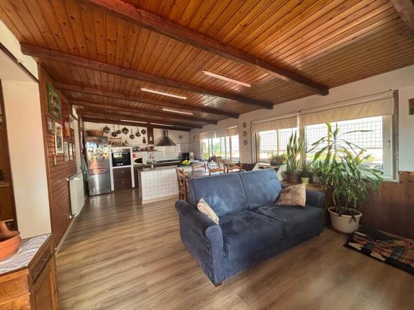 immagine annuncio 7 di 14