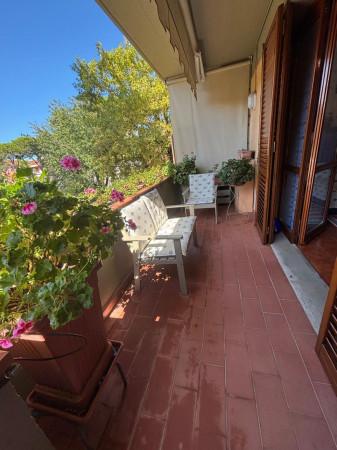 immagine annuncio 12 di 14