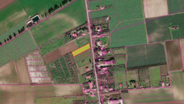insertion image