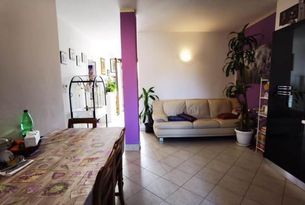 immagine annuncio 6 di 9