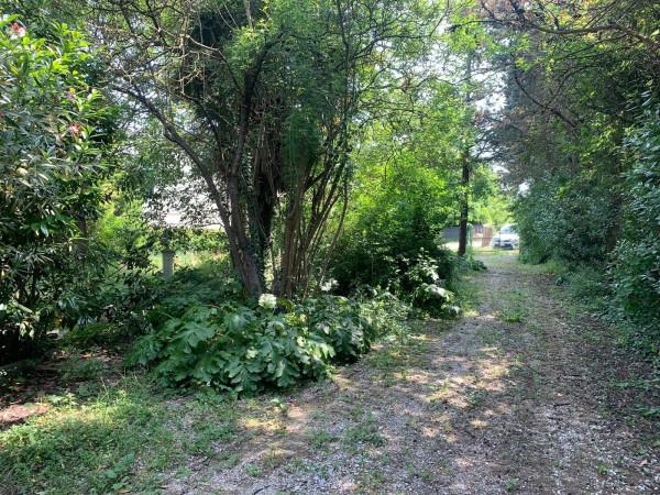 immagine annuncio 3 di 4