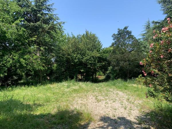 immagine annuncio 2 di 4