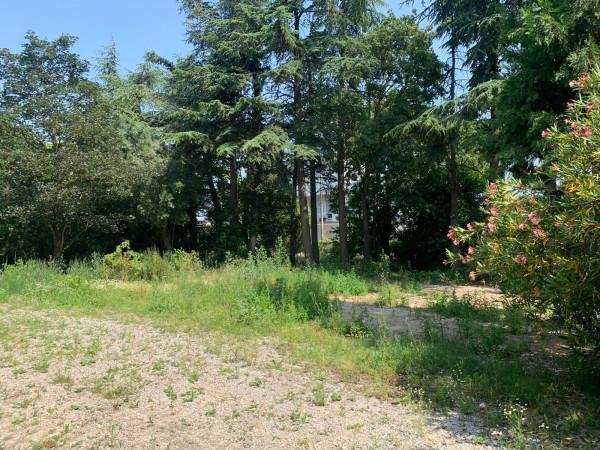 immagine annuncio 1 di 4