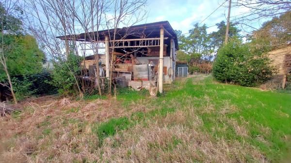 immagine annuncio 5 di 8