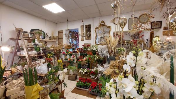 Piante e fiori in , Ostra, {3} - Foto 2