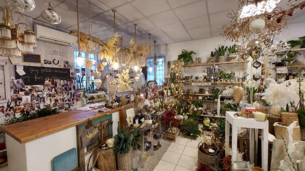 Piante e fiori in , Ostra, {3} - Foto 1