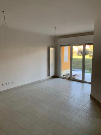 immagine annuncio 3 di 8