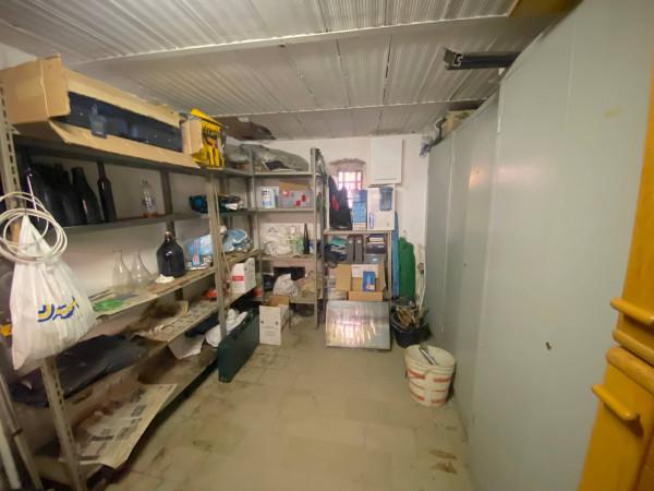 immagine annuncio 8 di 9