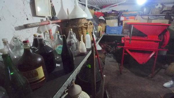 immagine annuncio 10 di 12