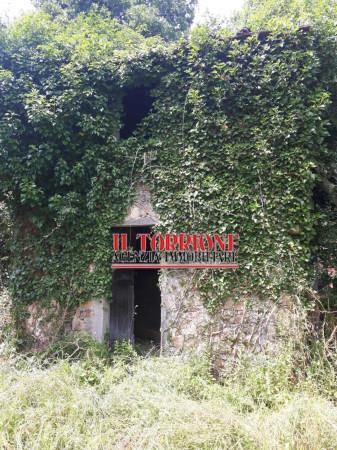 Magazzino in Via Val di Torbola, Pescia, {3} - Foto 1