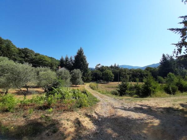 Magazzino in Via di San Quirico, Pescia, {3} - Foto 2