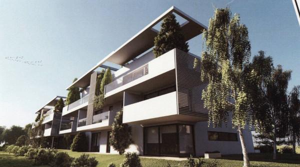 immagine annuncio 7 di 12