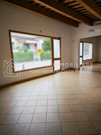 Negozio in , Ravenna, {3} - Foto 2