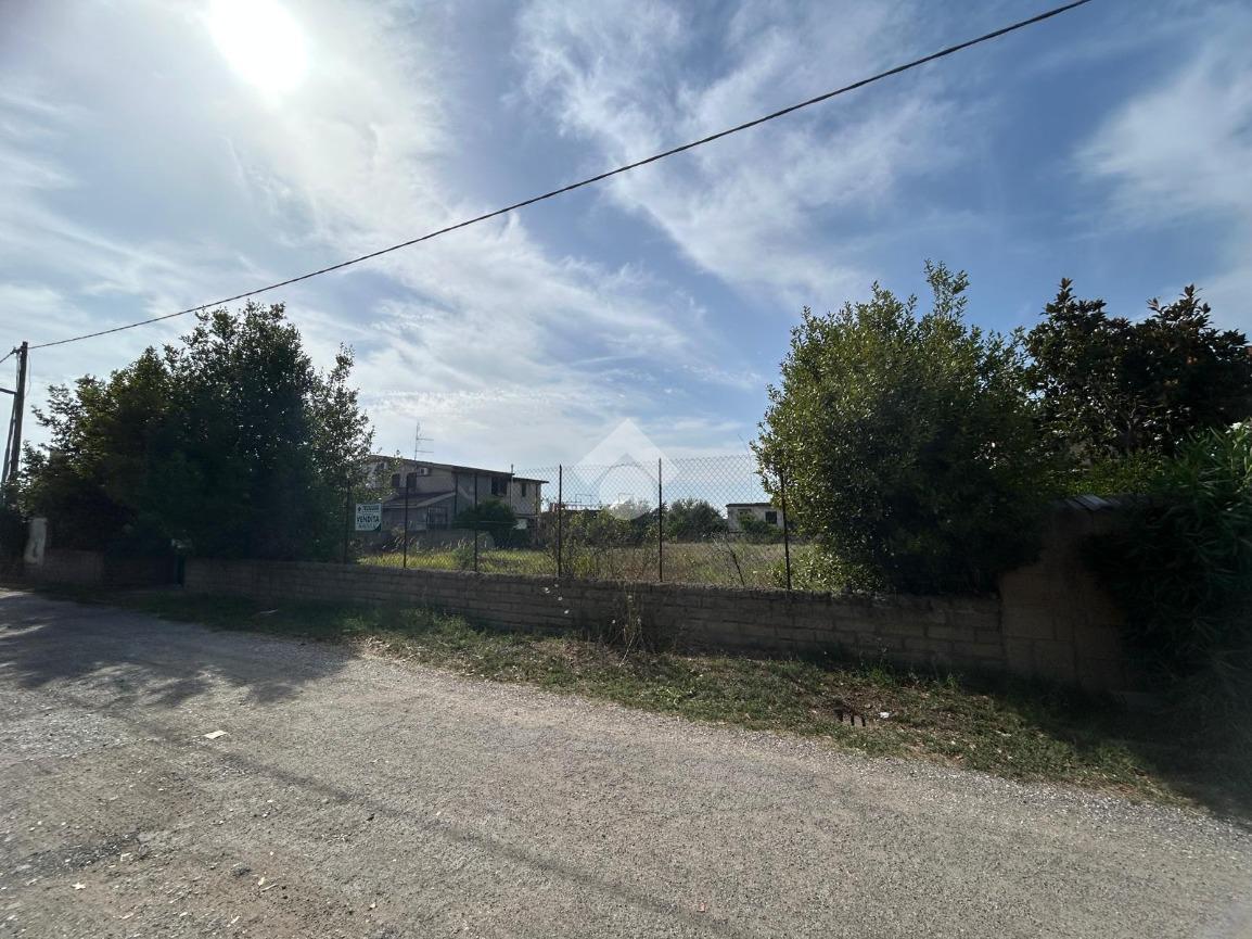 immagine annuncio 7 di 11