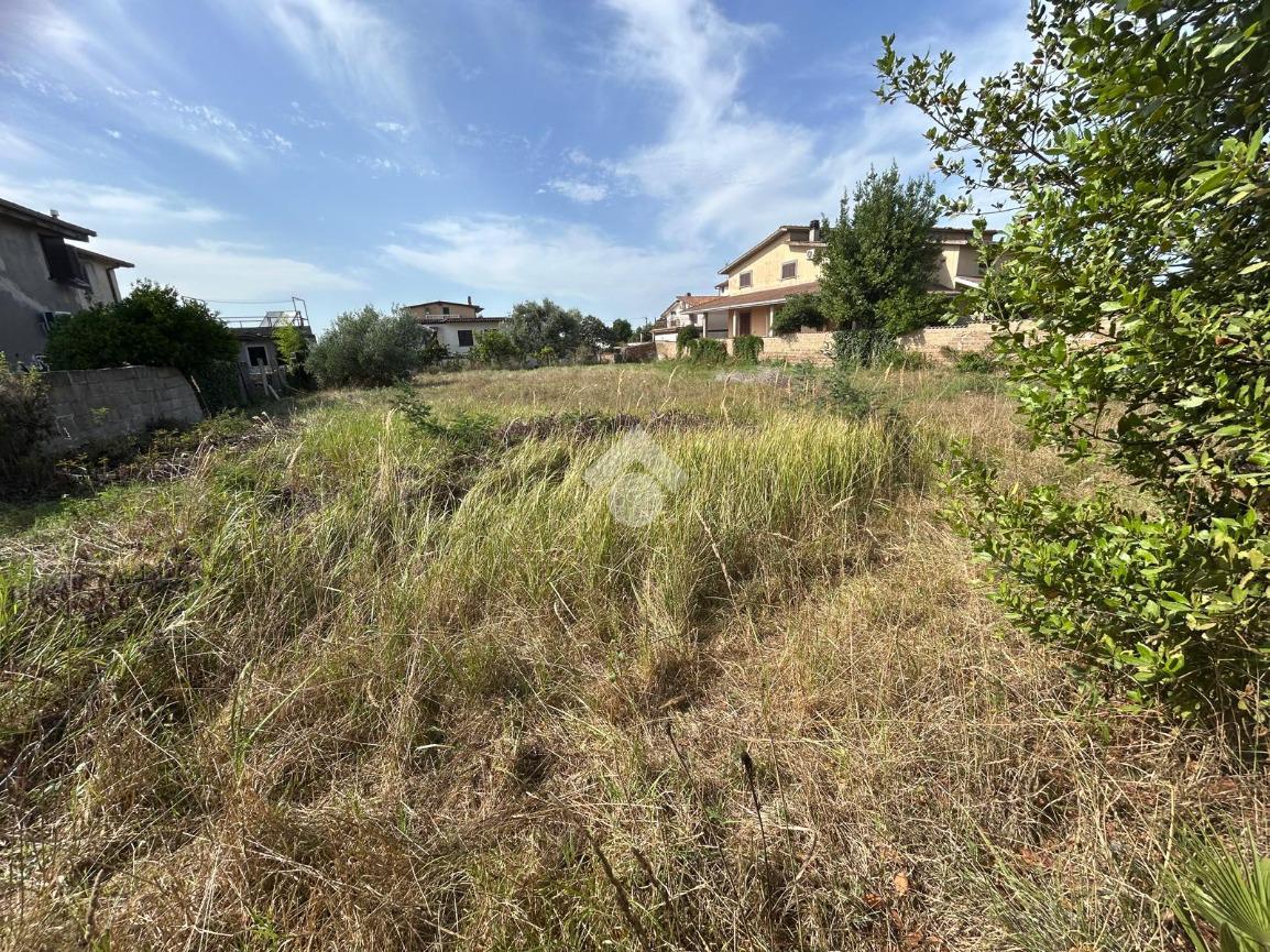 immagine annuncio 10 di 11