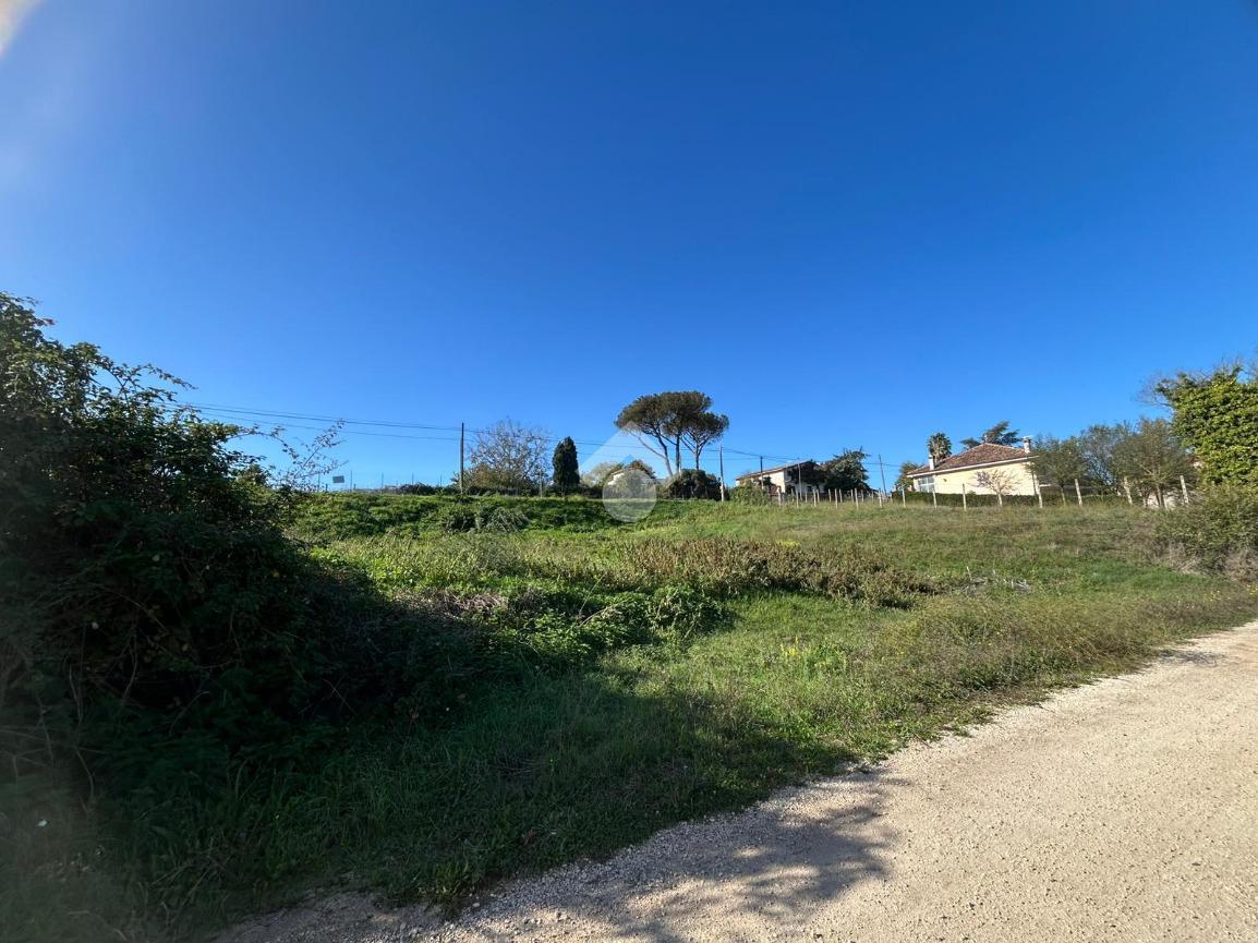 immagine annuncio 9 di 13