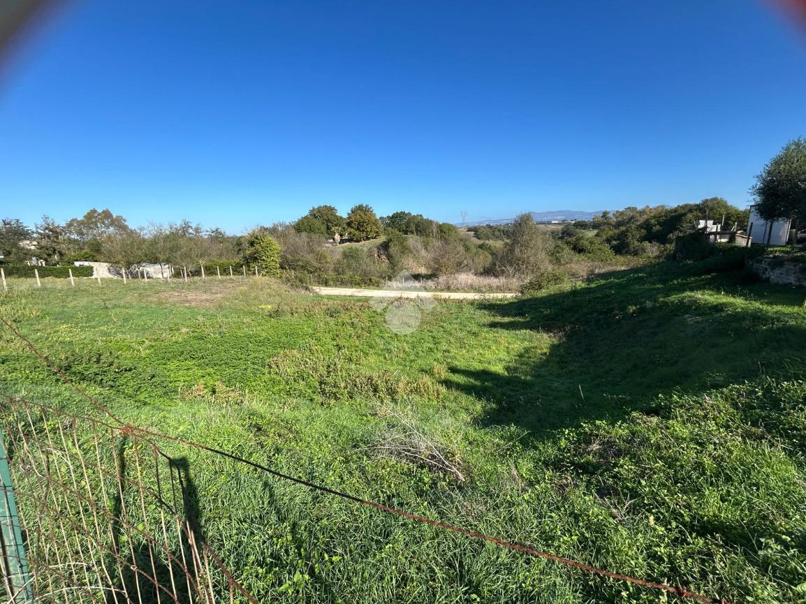 immagine annuncio 5 di 13