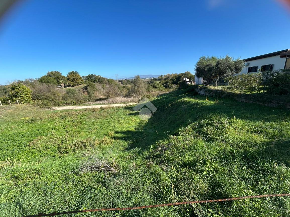 immagine annuncio 10 di 13