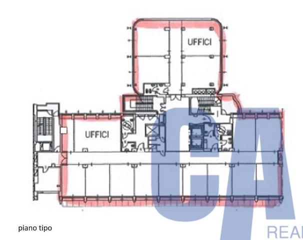 main planimetry real estate image