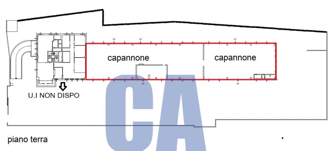 Capannone in Via Londra, Segrate, {3} - Planimetria 1