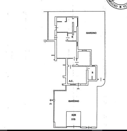 insertion image